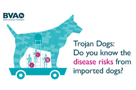 Trojan dogs - do you know the risks