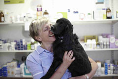 Vet nurse holding a dog