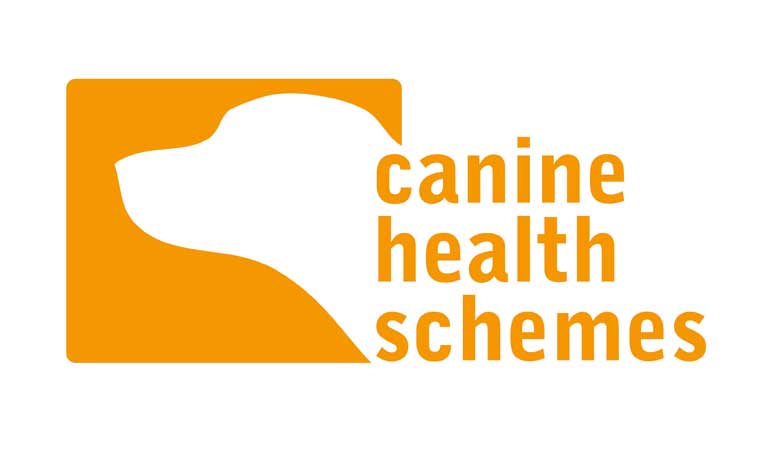 Dog health screening schemes  Image