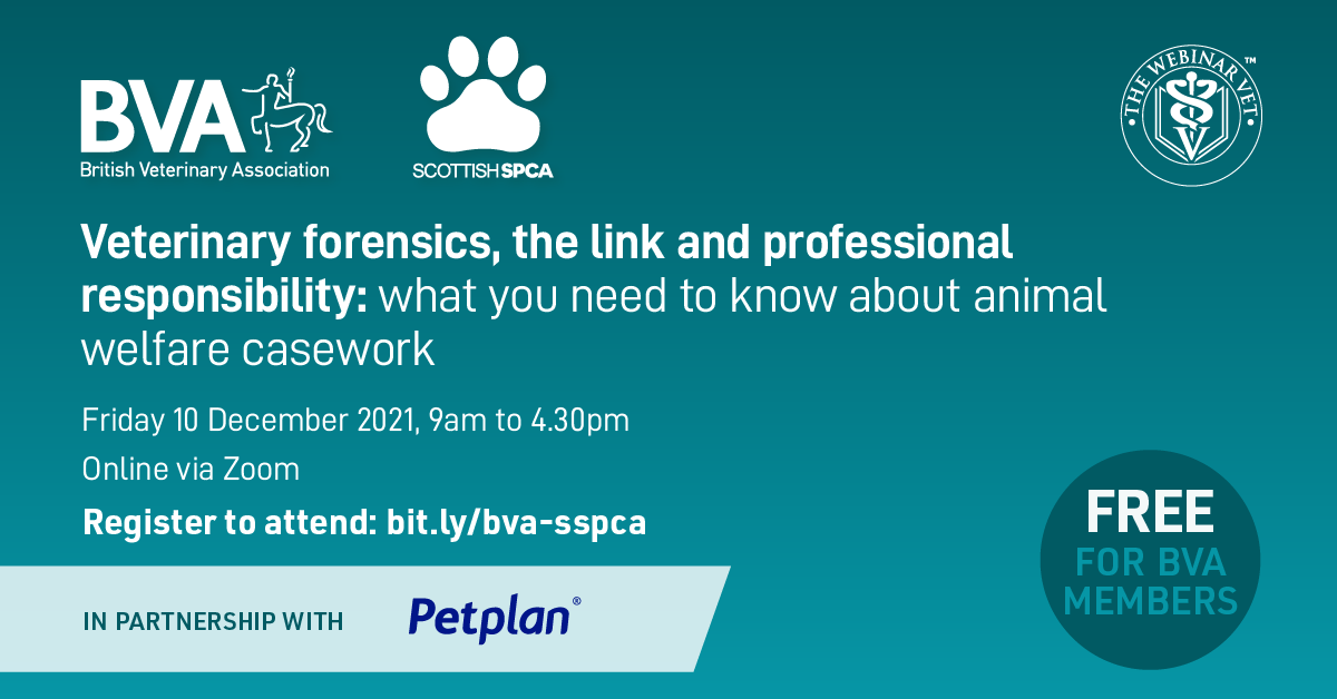 Empowering you to support animal welfare investigations – why you should register to attend the BVA and Scottish SPCA virtual conference Listing Image