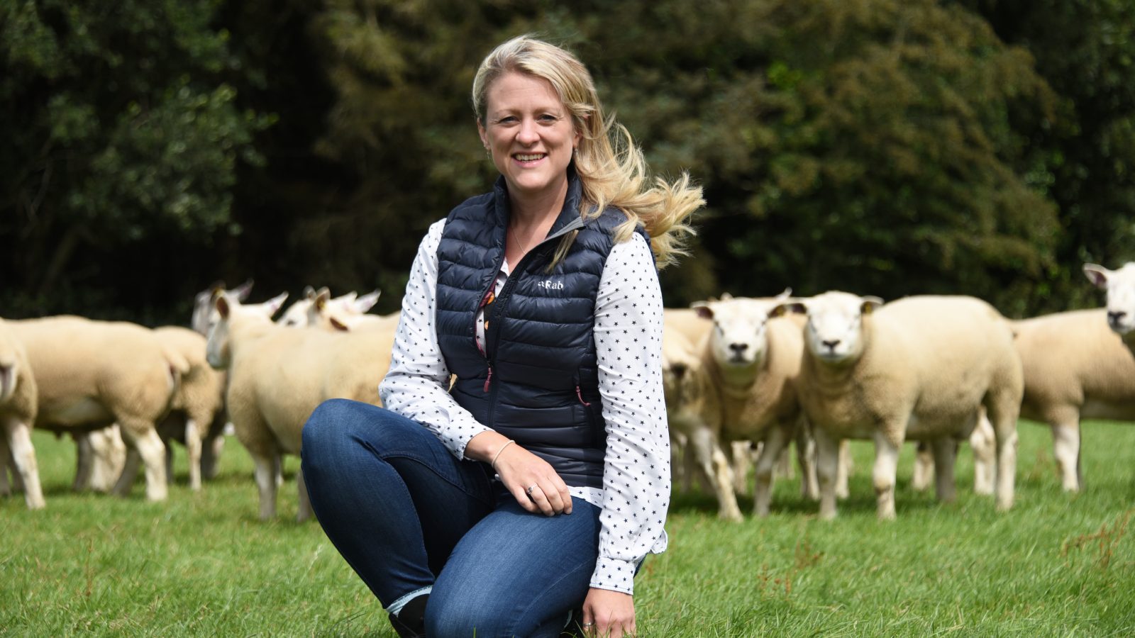 Farm vets in Wales leading the way in responsible antimicrobial prescribing  Image