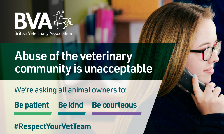 BVA responds to veterinary abuse by XL Bully campaign groups Image