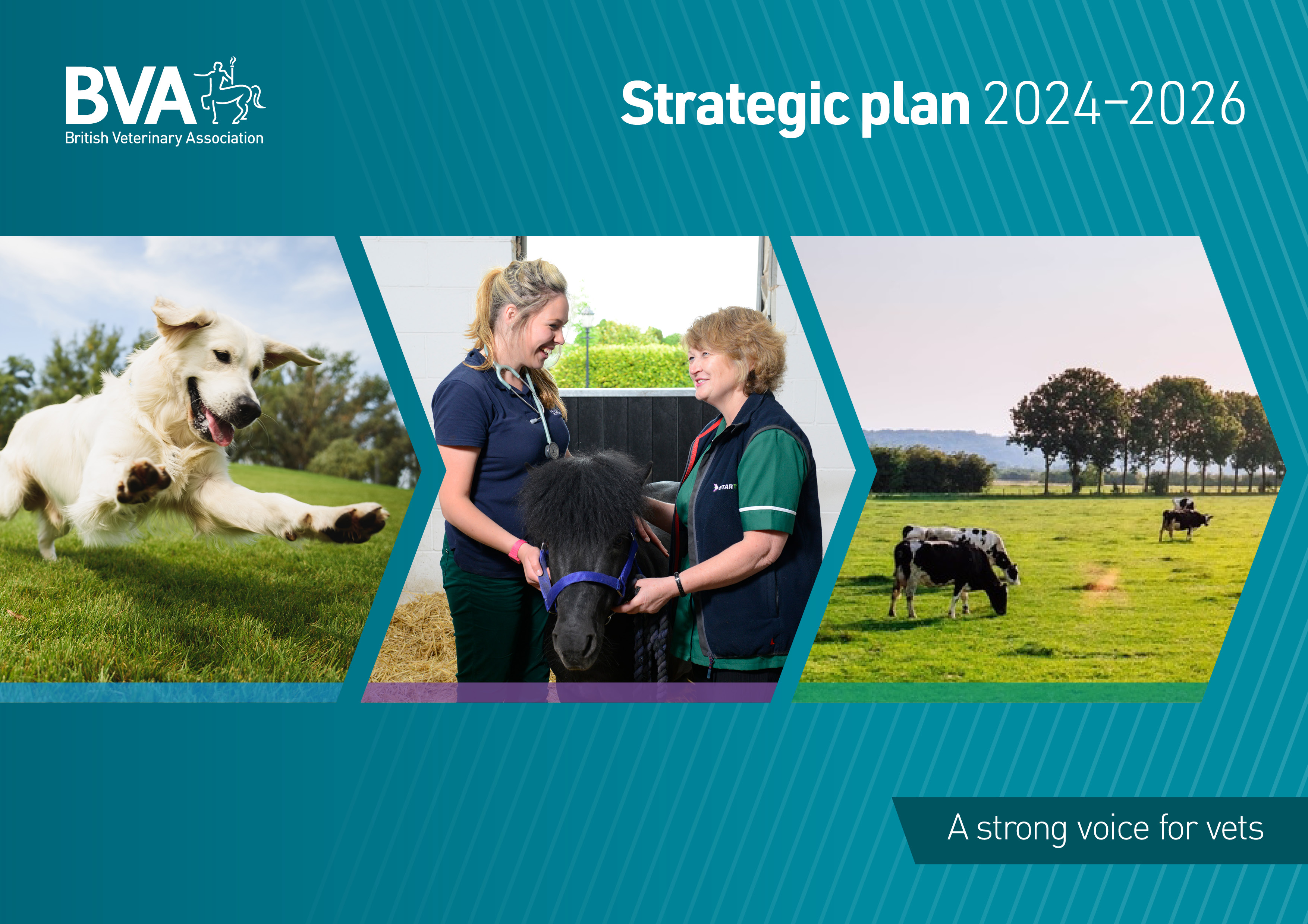 British Veterinary Association launches new strategic plan with a theme of People, Animals and Planet Listing Image