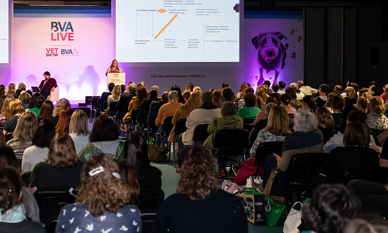 BVA Live 2024 to focus on contextualised care Image