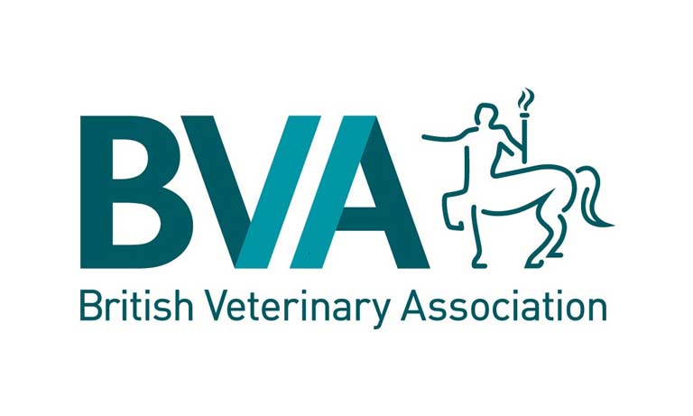Veterinary community must work together in challenging times ahead, says BVA Image