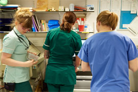 Understanding cruciate disease