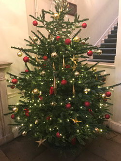 BVA Christmas tree
