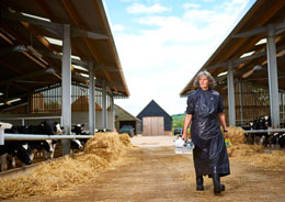 Vet walking through farm