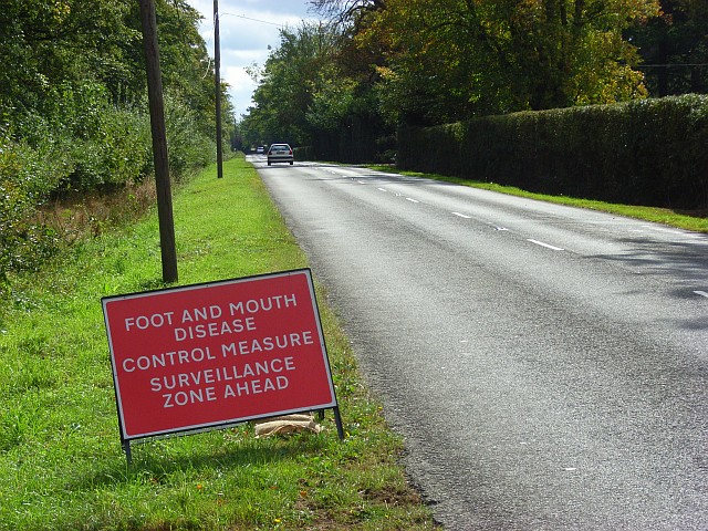 Winkfield Plain - geograph.org.uk - 566570