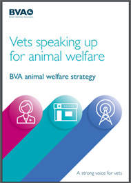 animal welfare strategy front cover