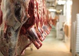 Meat hanging in abattoir