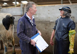 Farmer with cattle vet