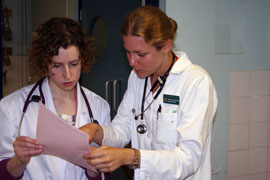 Top tips for studying at vet school