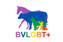 BVLGBT+