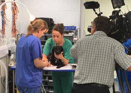 Filming Veterinary View at Stanley House vets