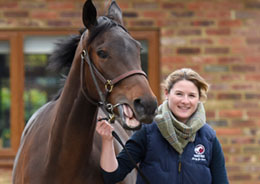 Vet with a horse