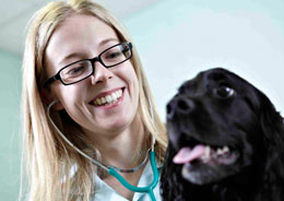 Smiling vet with a dog