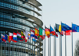European member state flags