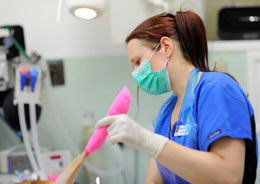 RVN prepping for surgery