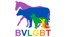BVLGBT logo