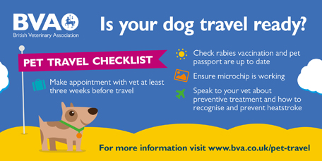 BVA pet travel infographic for social