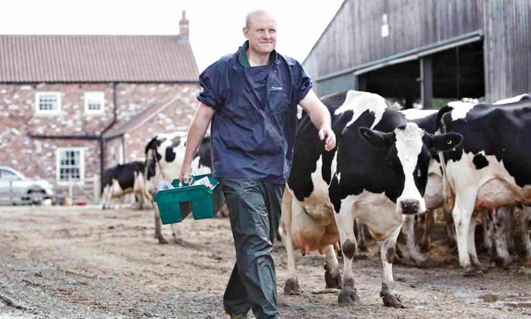 Antibiotic sales and usage figures show encouraging progress despite challenging year for livestock sector, BVA says Image