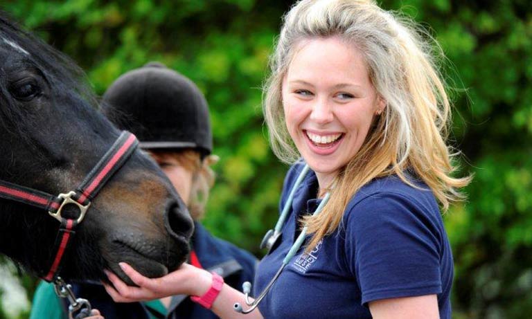 BVA Young Vet Network Image