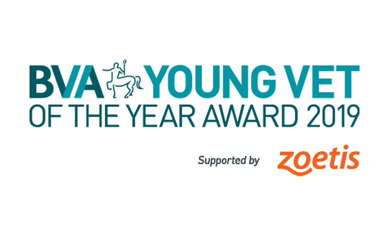 Young Vet of the Year Award 2019 Finalist: Why I'm passionate about helping overseas vets Image