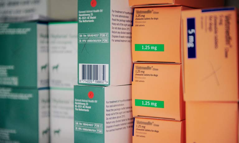 BVA responds to concerns around supply of veterinary medicines in a ‘No Deal’ scenario Image