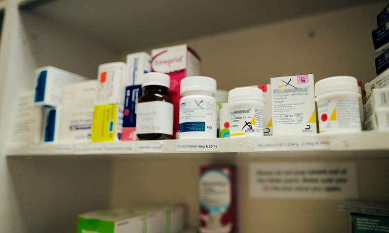Access to veterinary medicines in Northern Ireland Listing Image