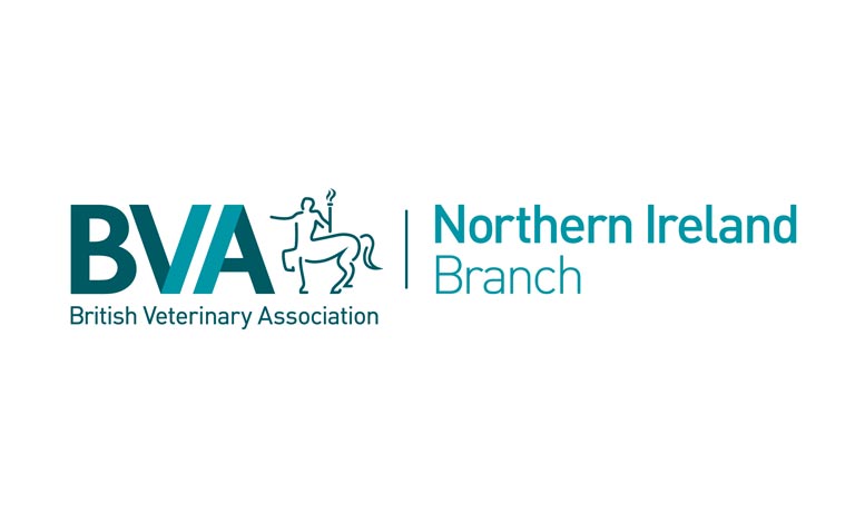 Pledges for animals, vets and public health launched by vets in Northern Ireland ahead of the Northern Ireland Assembly elections Image