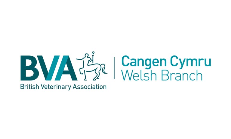 BVA Welsh Branch Image