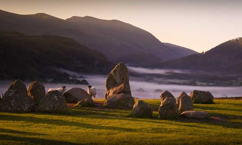 Sheep and lakes photo competition winner