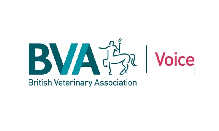 Just one hour of your time makes the veterinary voice even louder Image