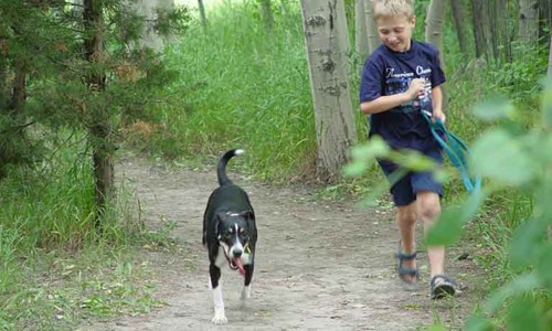 dog running with boy