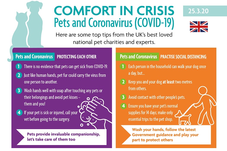 Comfort in crisis: Leading animal organisations unite to support pets and owners through Coronavirus (COVID-19) Image