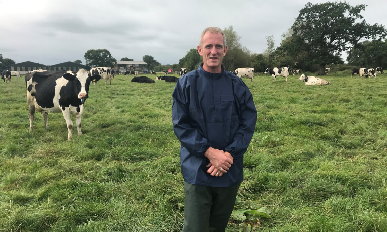 How do you fix a cow's twisted stomach while social distancing? Image