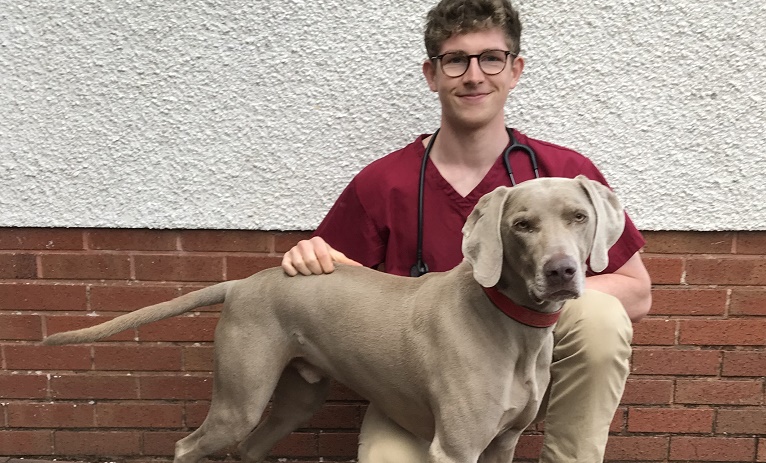 My journey to vet school – how taking a year out can set the right foundations Image