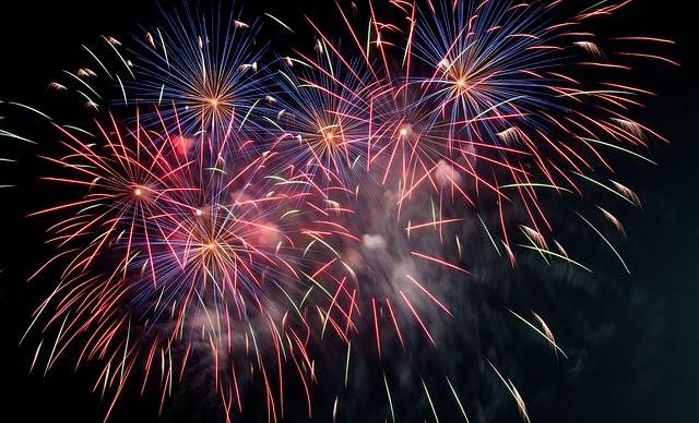Keep pets safe during New Year fireworks, urge vets Listing Image