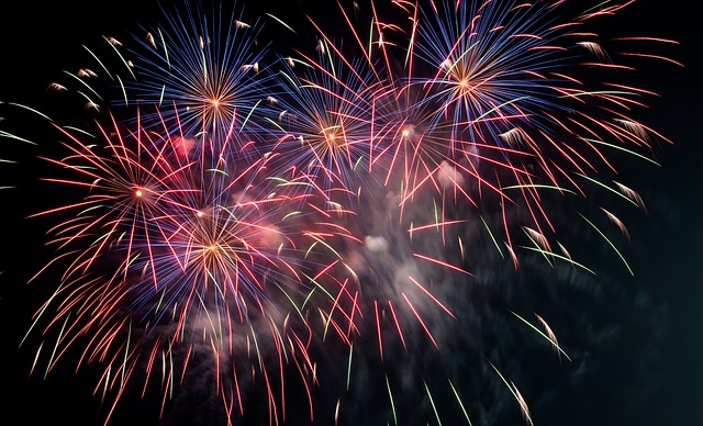 BVA signs up to open letter urging UK Government to review fireworks laws Image