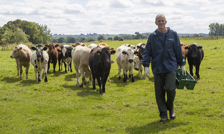 Let’s change the tide on bovine TB Image