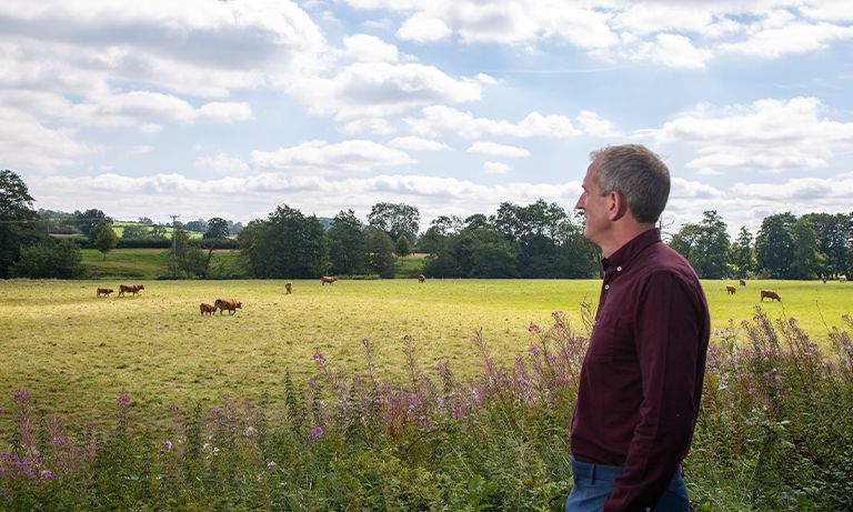 Foot and mouth disease: Time for sombre reflection Image