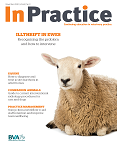 In Practice Vol. 42, Issue. 9 Image