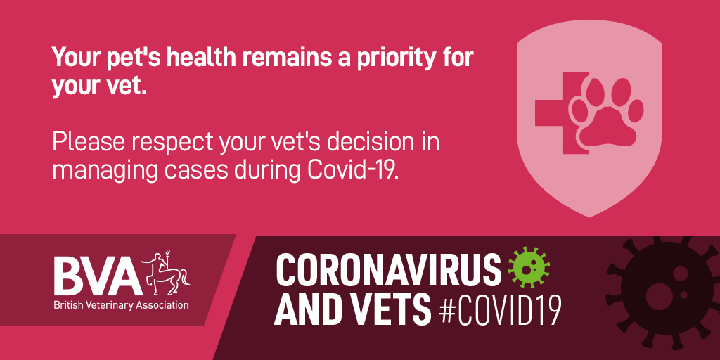 Renewed push to respect your vet during the national lockdowns