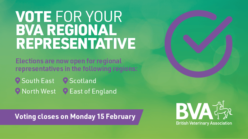 Voting for four new BVA regional representatives opens  Image