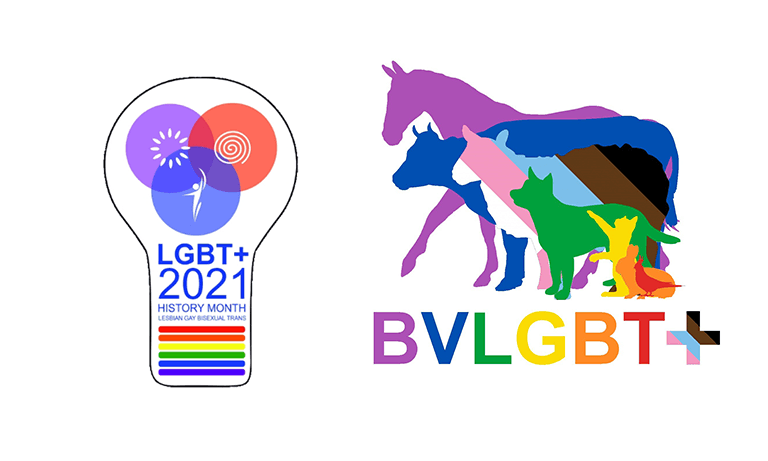 LGBT+ History Month: introducing the BVLGBT+ role models Image