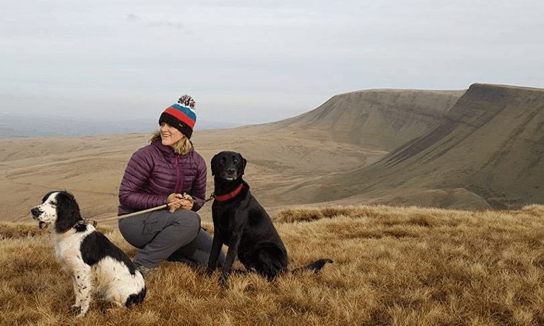 Arwain Vet Cymru: How to get farm vets “singing from the same hymn sheet” on antibiotic prescribing Image