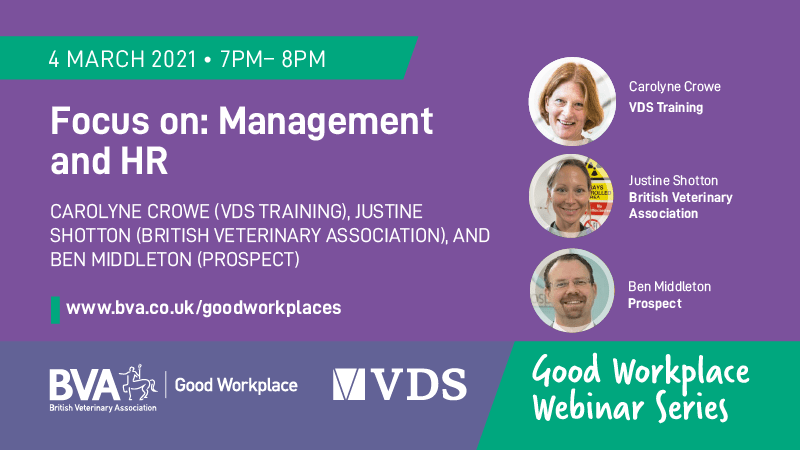 Focus on: Management and HR Image