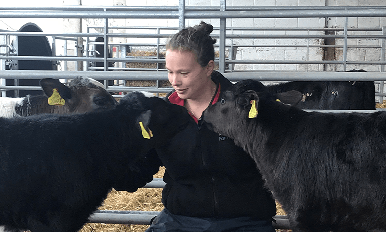 The silent toll of bovine TB Image