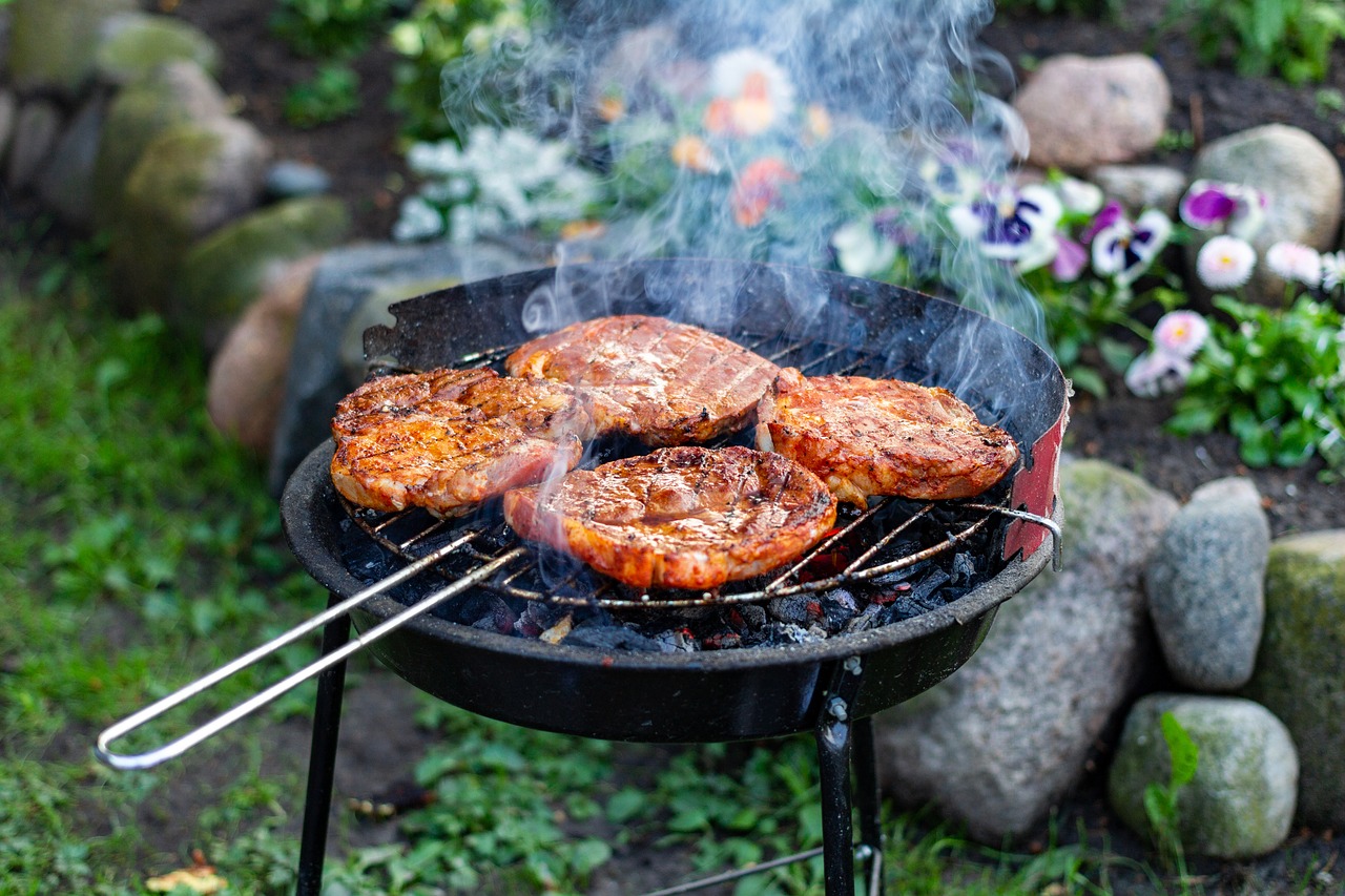 Beware the BBQ! Keep pets safe this Bank Holiday weekend as vets report an increase in barbecue related injuries Image